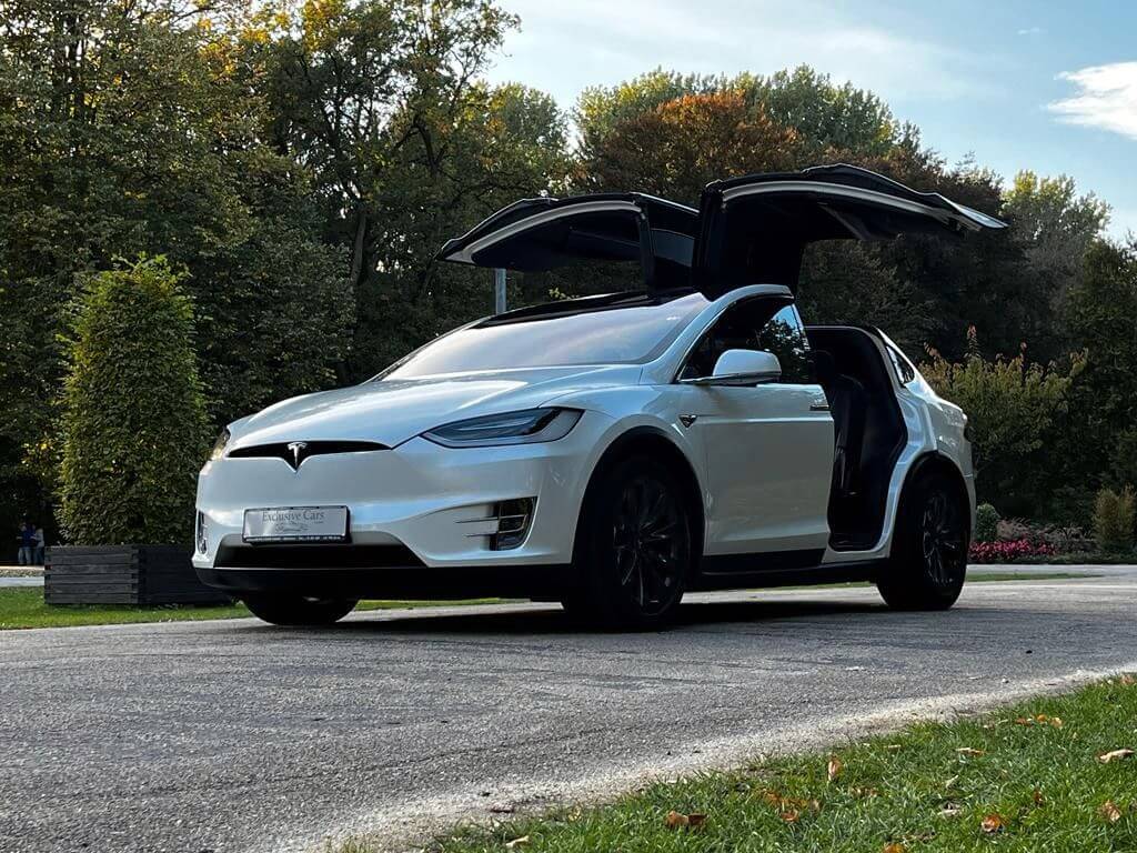  Model X