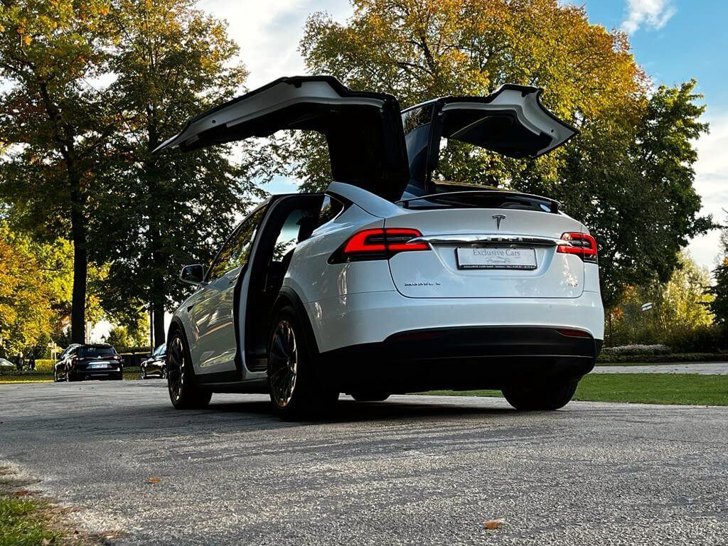  Model X