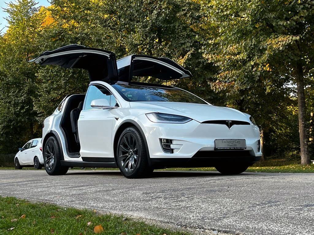  Model X