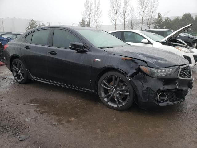  TLX