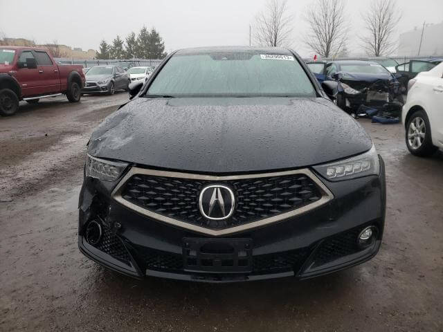 TLX