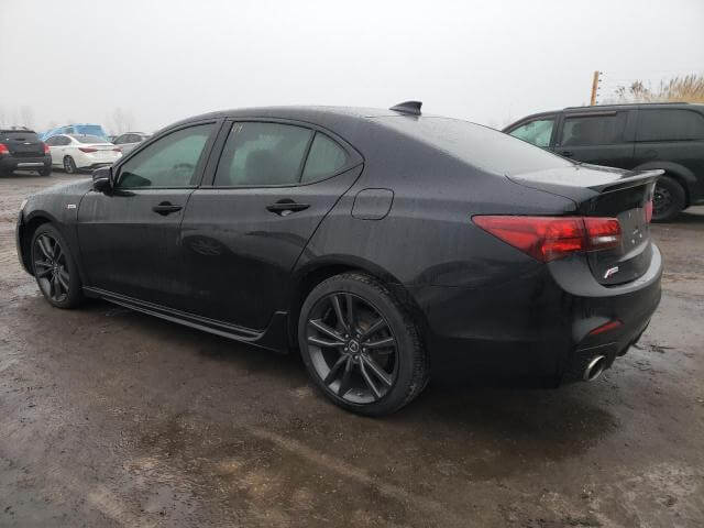  TLX