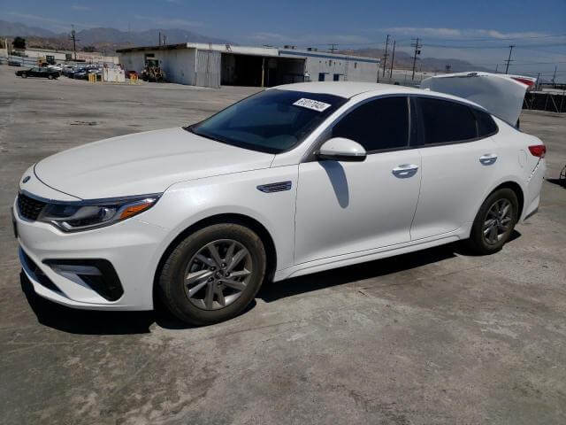  Optima