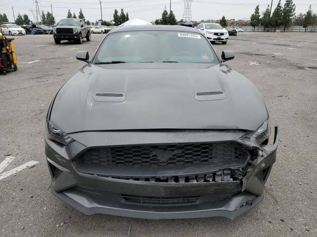  Mustang