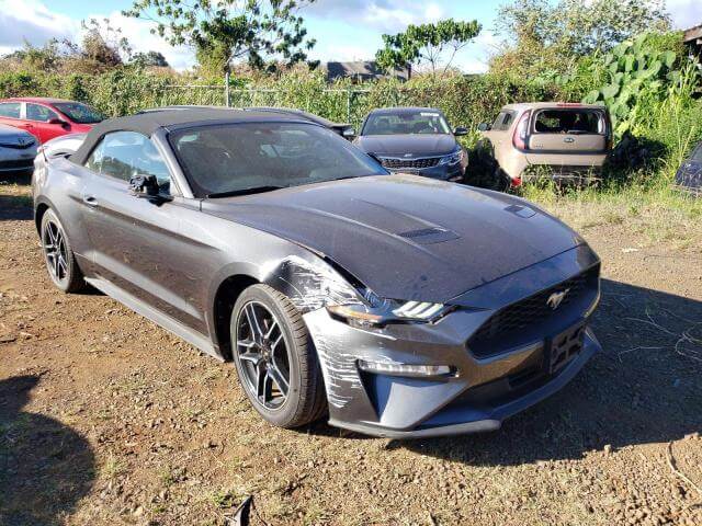  Mustang