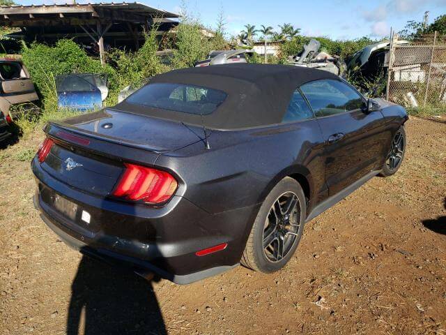  Mustang
