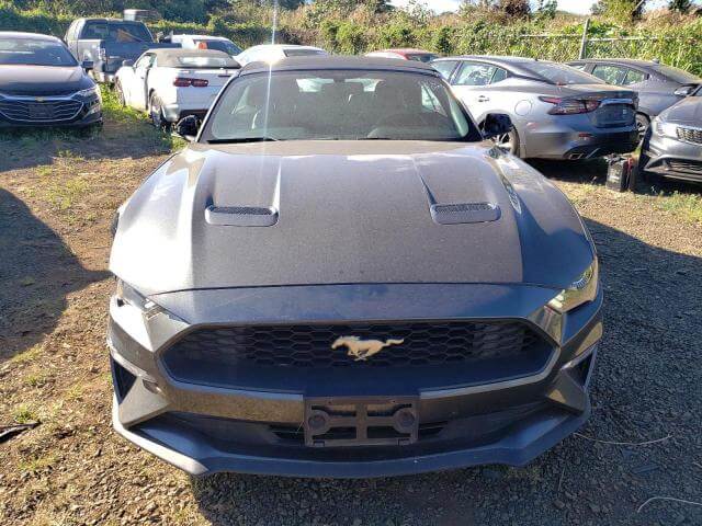  Mustang
