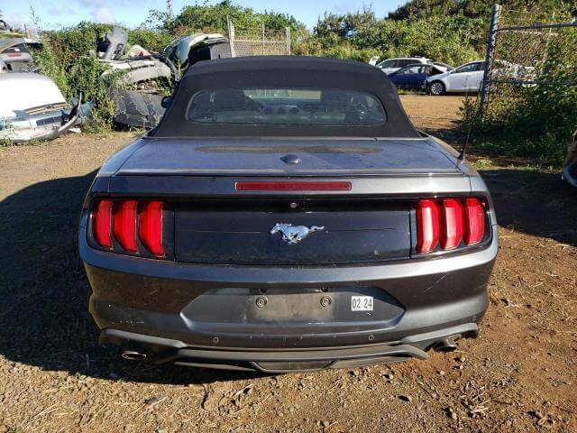  Mustang