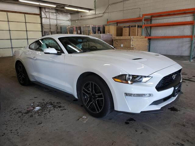  Mustang
