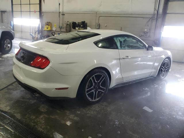  Mustang