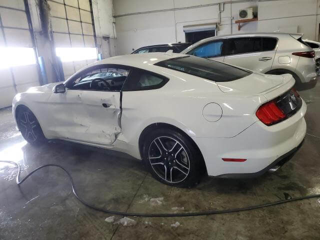  Mustang