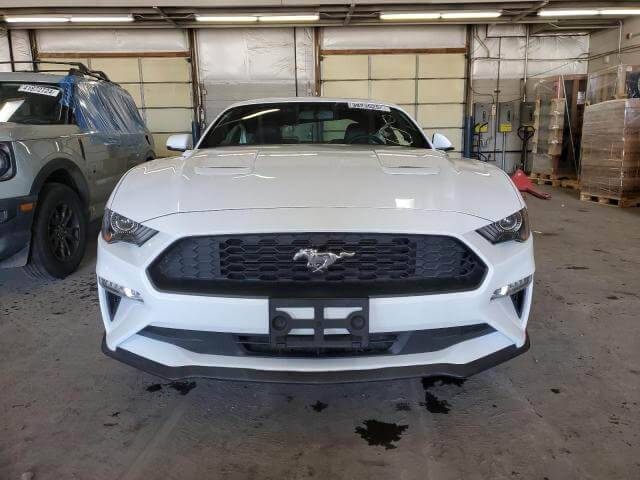  Mustang