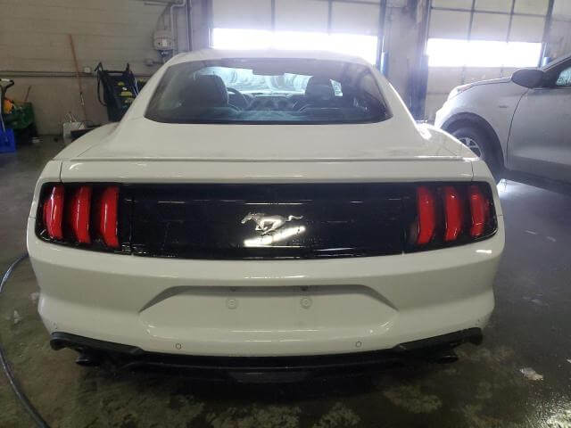  Mustang