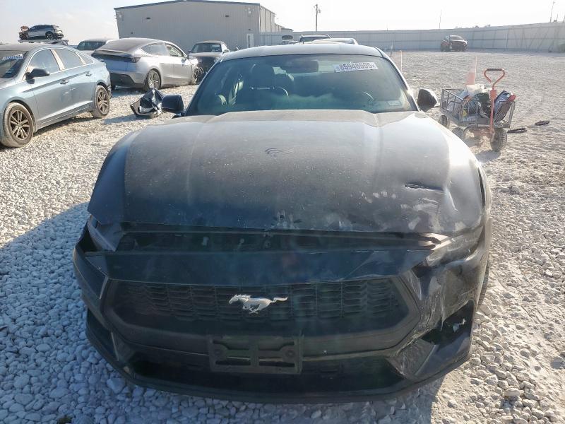  Mustang